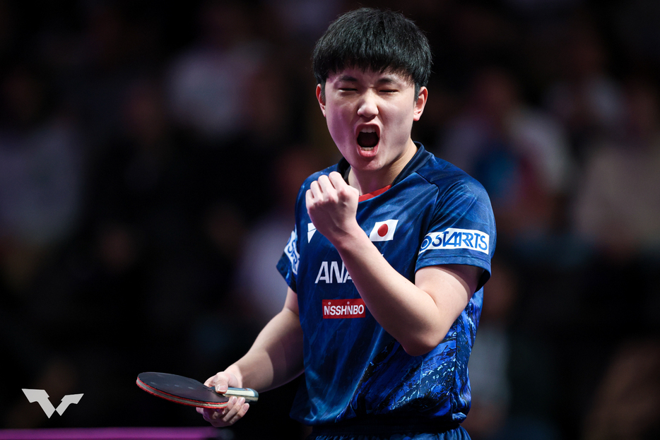 張本智和 PHOTO：World Table Tennis