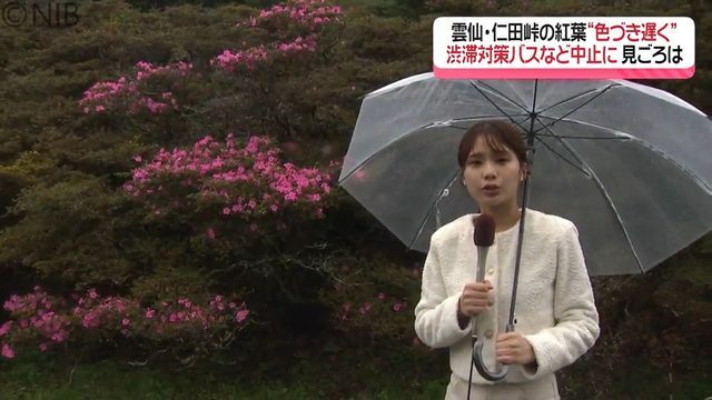 NIB長崎国際テレビ