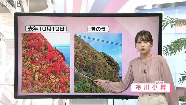 NIB長崎国際テレビ