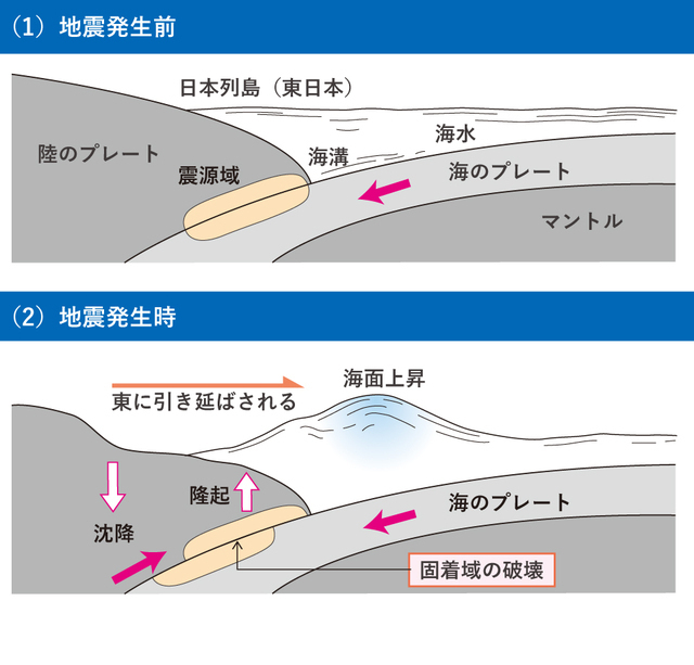 東日本大震災の発生前後の地盤の動き