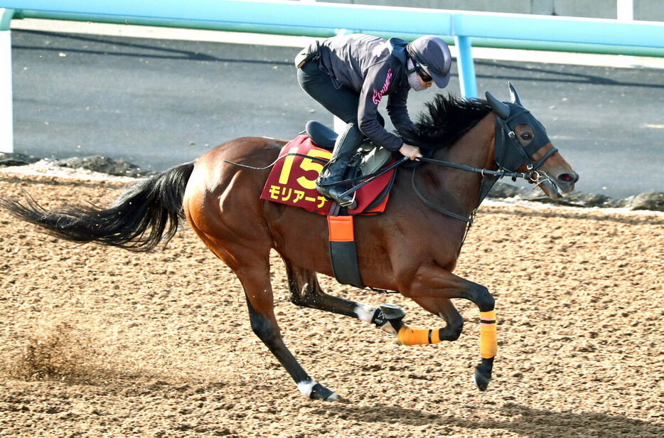 Wコースで１週前追い切りを行ったモリアーナ（カメラ・荒牧　徹）