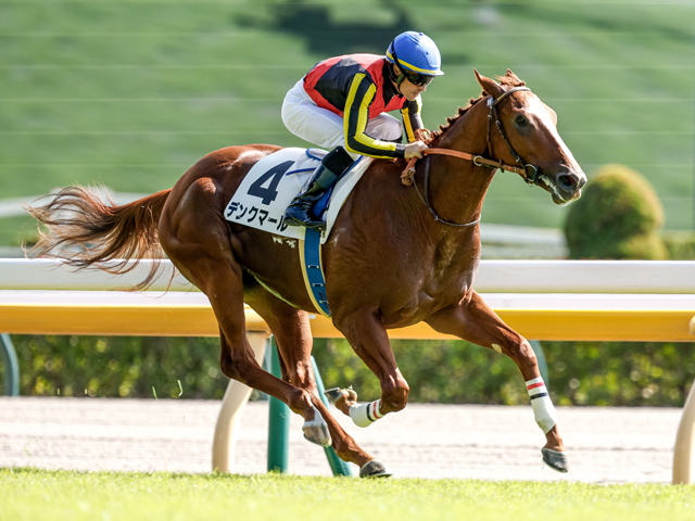 東京5R新馬戦を制したデンクマール(撮影：下野雄規)