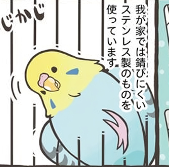 鳥さんのお迎えが決まったら、ケージや止まり木などの飼育グッズを準備しよう