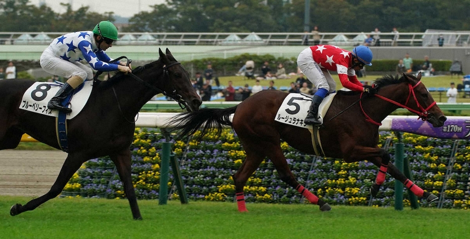 ＜東京4R新馬戦＞レースを制したルージュラナキラ（右）（撮影・郡司　修）