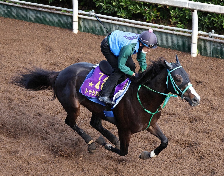 坂路を単走で追い切るドゥラエレーデ