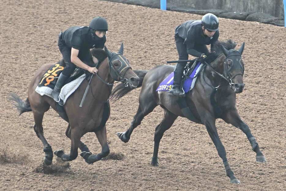 馬なりでも好時計のコスモキュランダ（右）