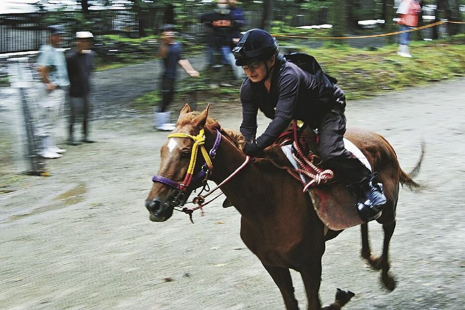 本番に向け、須賀神社の馬場を駆け抜ける馬（みなべ町西本庄で）