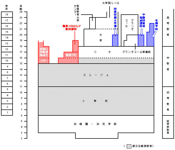 出典／文部科学省