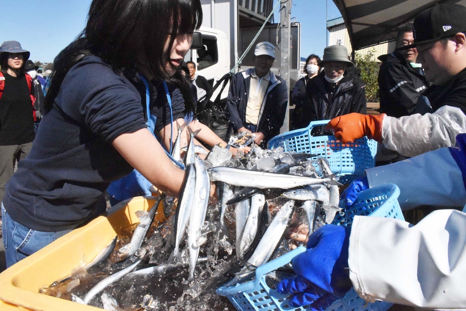 さんまのつかみ取りに挑戦する来場者