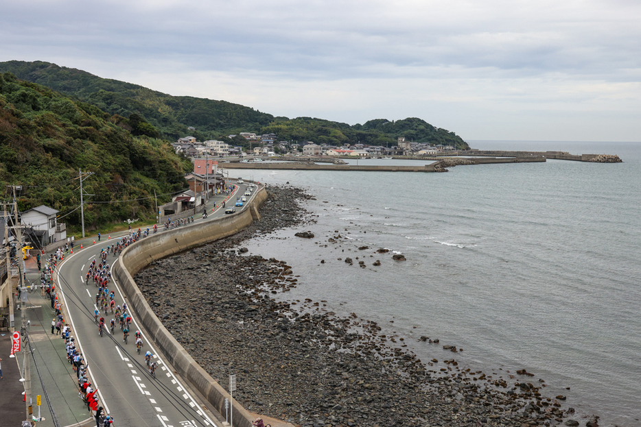 写真：Bicycle Club