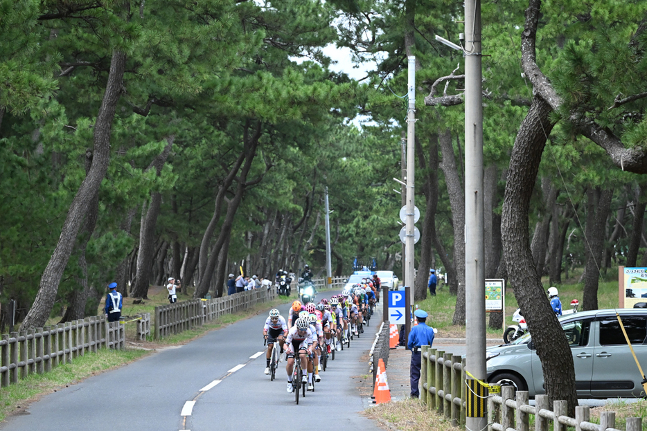 写真：Bicycle Club