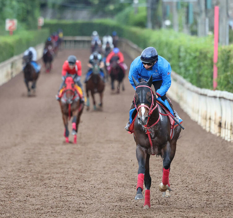 鮫島駿騎手を背に坂路を単走で追い切るスズハローム（撮影・白石智彦）