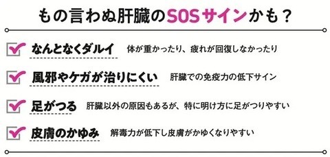 あなたの体調の悪さ、もしかして脂肪肝が原因かも！？