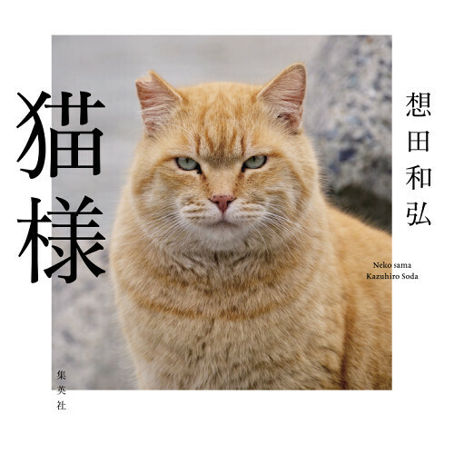 想田和弘著「猫様」（発行：ホーム社／発売：集英社）