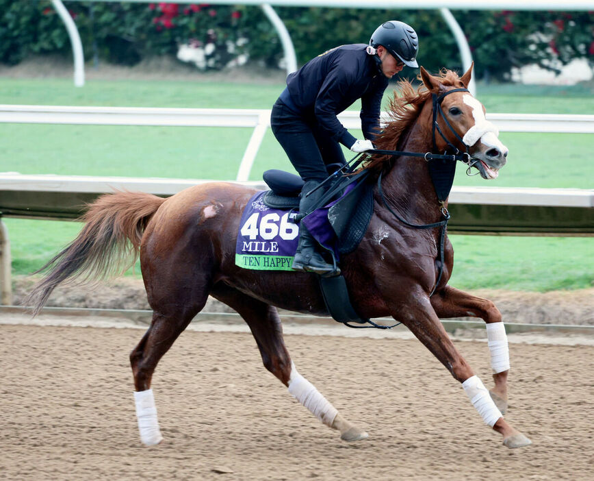 テンハッピーローズはデルマー競馬場のダートコースで調整