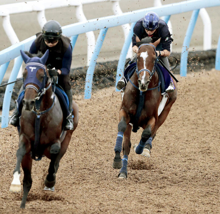 １週前追い切りを行ったソールオリエンス（右、馬上は横山武騎手・カメラ・荒牧　徹）