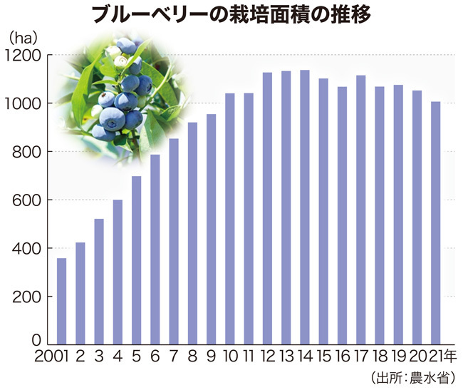 ブルーベリーの栽培面積の推移