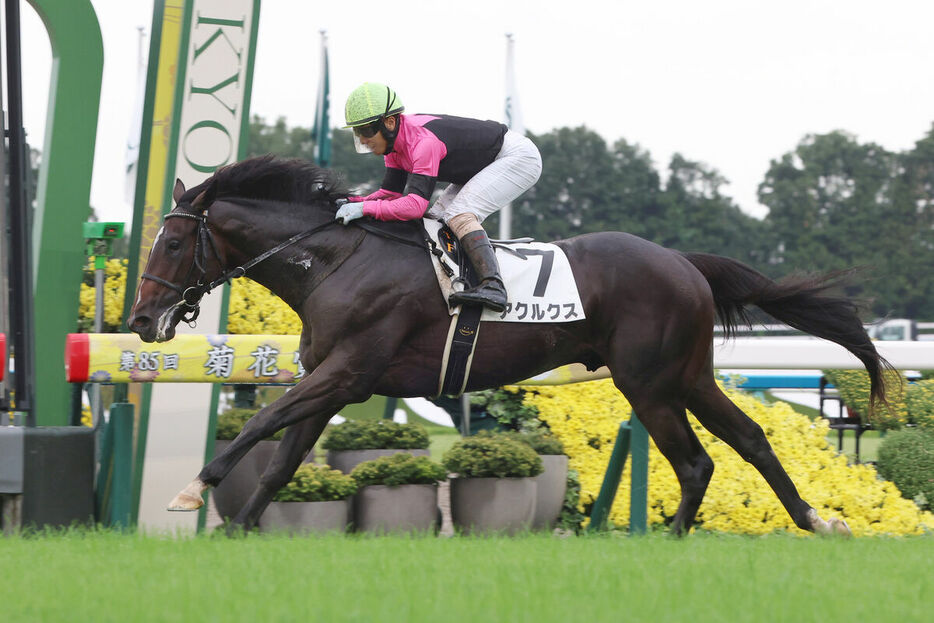 藤懸貴志騎手騎乗のアクルクスがゴール前で抜け出す（カメラ・高橋　由二）