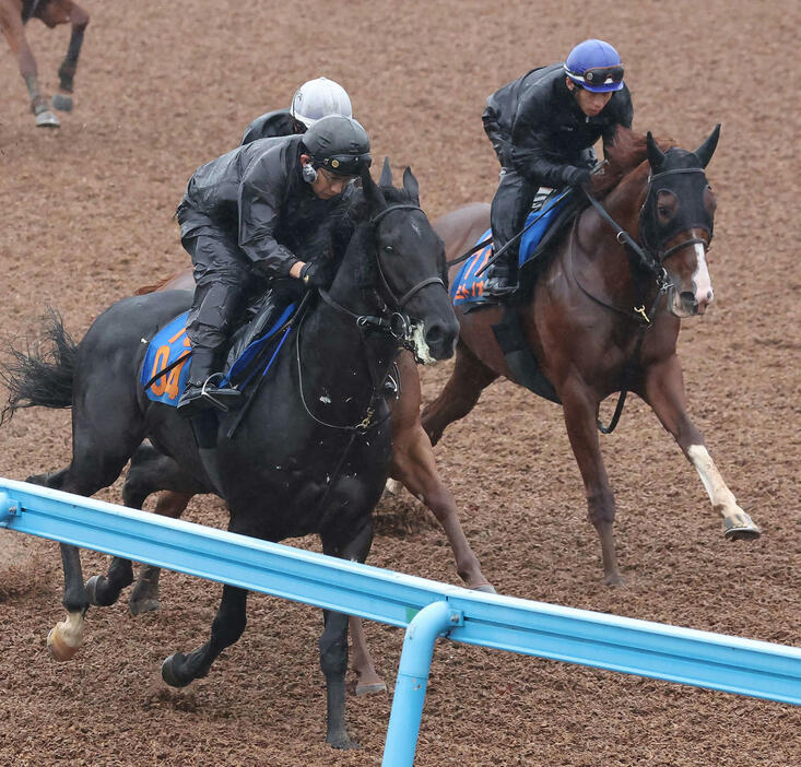 ミトノオー（右）は美浦ウッドを3頭併せで追い切られた（撮影・丹羽敏通）