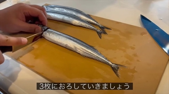 秋刀魚を3枚におろします