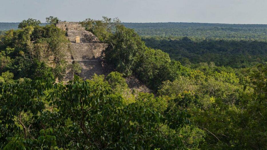 メキシコのジャングルに古代都市、ネット検索中の大学院生が偶然発見