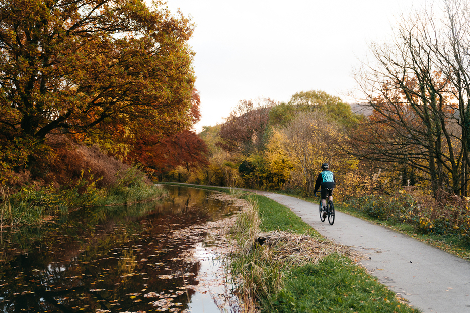 写真：Bicycle Club