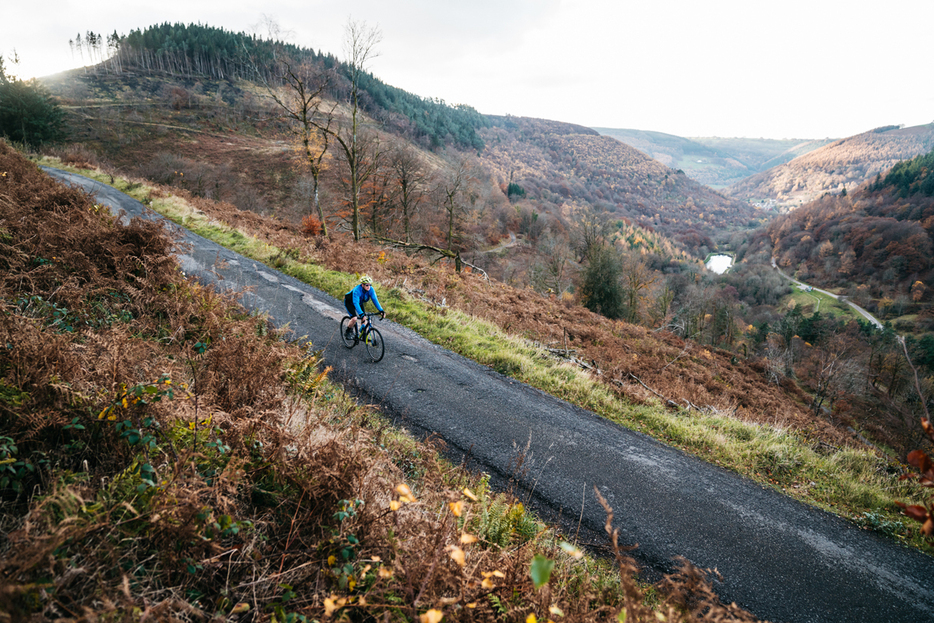 写真：Bicycle Club