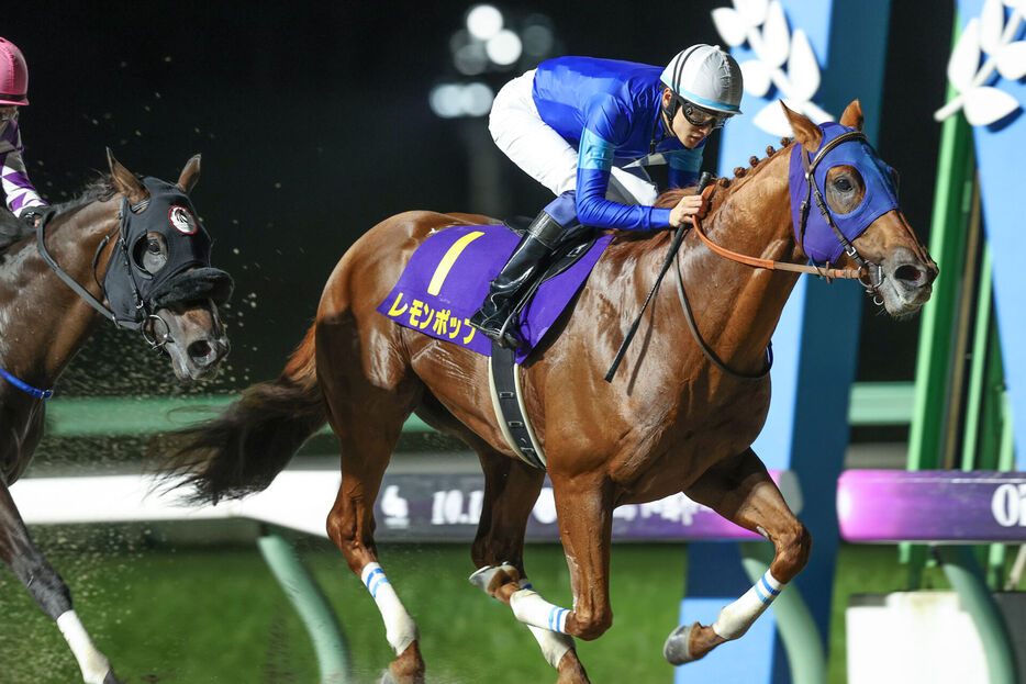 南部杯・レモンポップと坂井瑠星騎手 (C)岩手県競馬組合