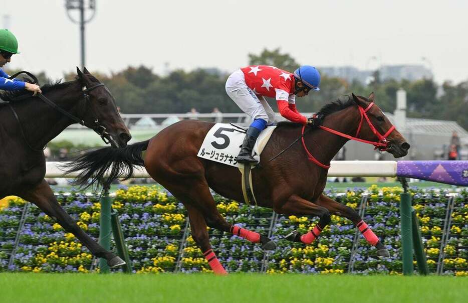 逃げ切って初陣を飾ったルージュラナキラ＝26日、東京競馬場（撮影・奈良武）