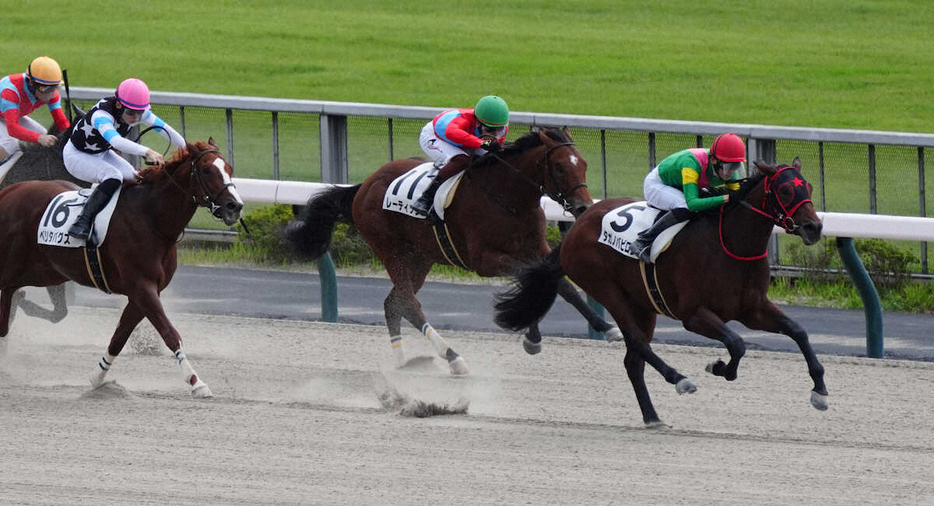 ＜東京4R新馬戦＞レースを制したタガノバビロン（右）（撮影・郡司　修）