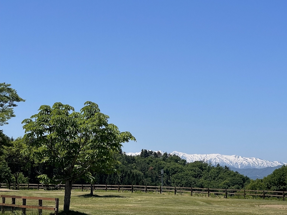 南陽DEたけはららキャンプジョーのグランピングサイトやキャンプサイトから眺める自然豊かな雪山の景色