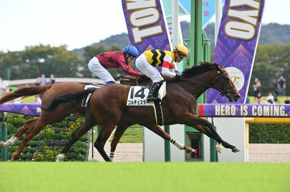 クビ差差し切り初陣を飾ったコルチェスター＝19日、東京競馬場（撮影・奈良武）