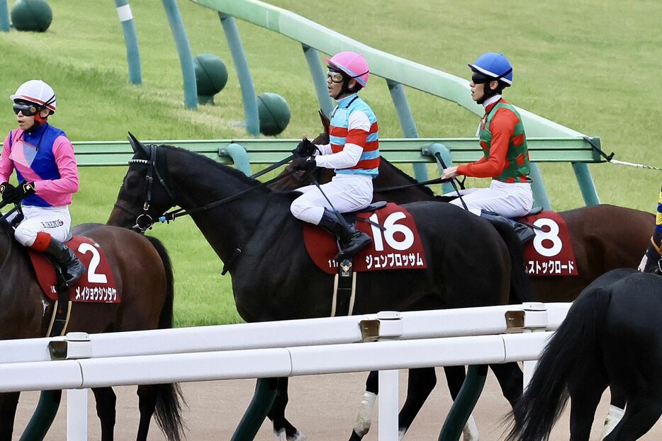 富士S・ジュンブロッサムと戸崎圭太騎手