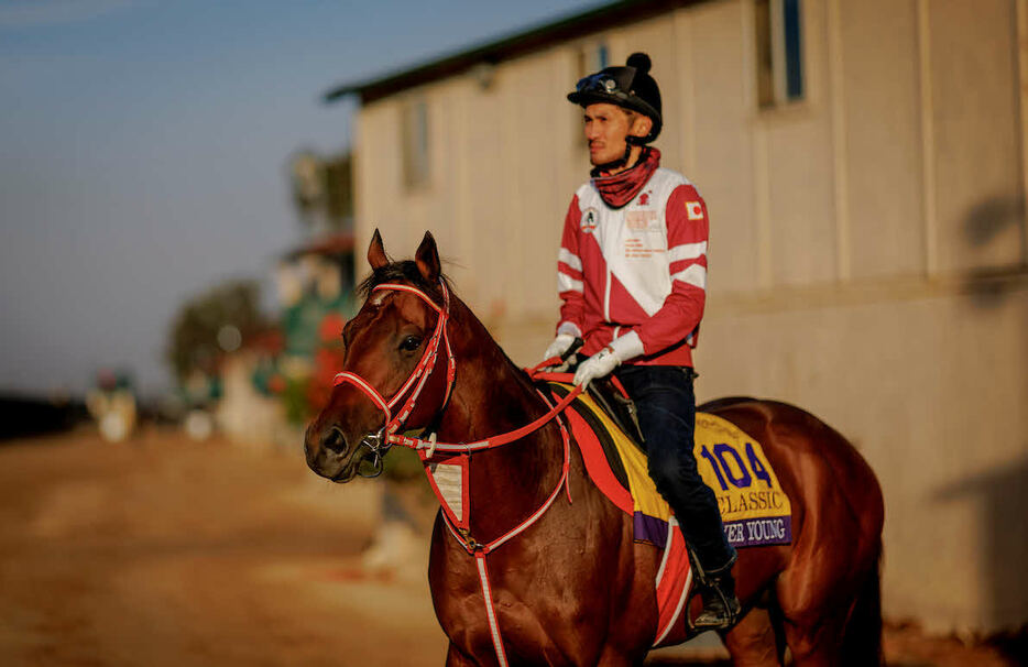 26日、調整するフォーエバーヤング（C）Evers／Eclipse　Sportswire／Breeders　Cup