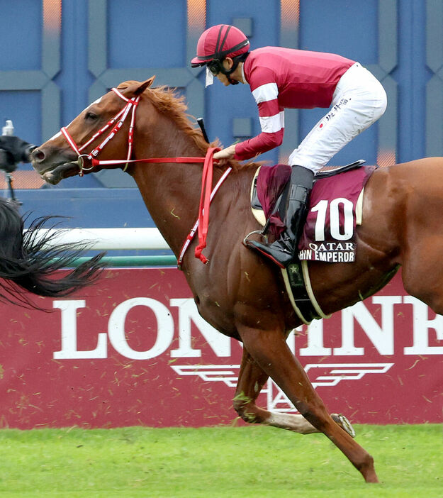 シンエンペラーは１２着で日本競馬の悲願達成はならず