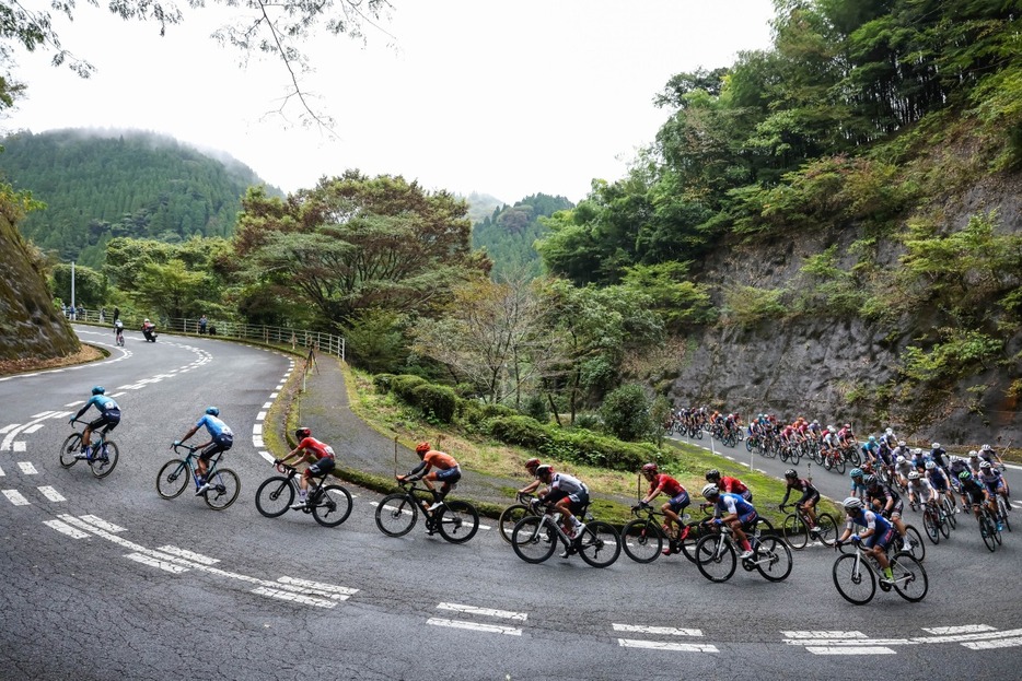 写真：Bicycle Club