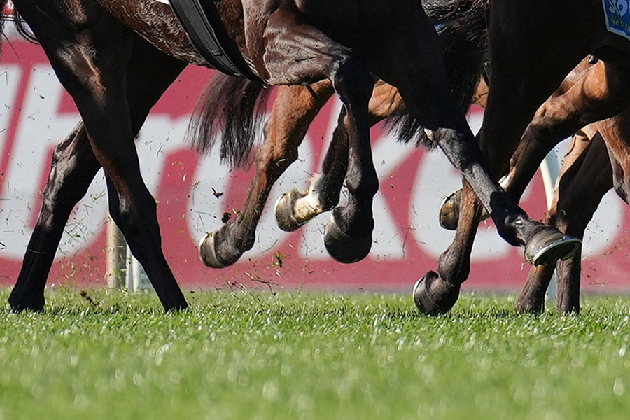 欧州競馬で生まれた衝撃的な“油断騎乗”が話題に（写真はイメージです）