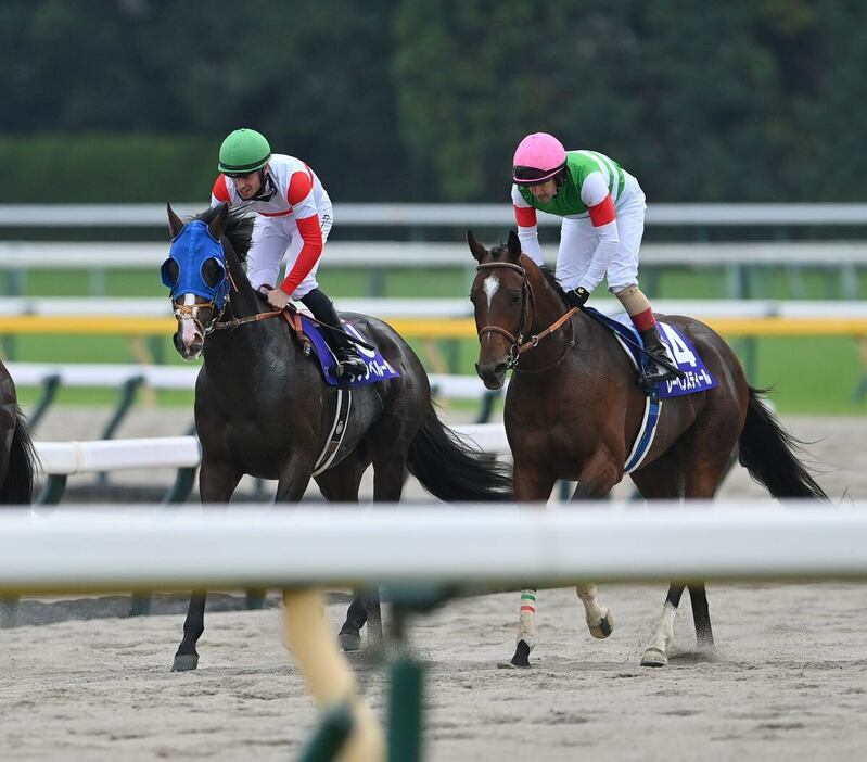 天皇賞・秋で8着に敗れたレーベンスティール。左はダノンベルーガ＝27日、東京競馬場（撮影・奈良武）