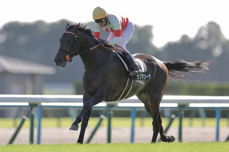 清滝特別・サブマリーナと武豊騎手