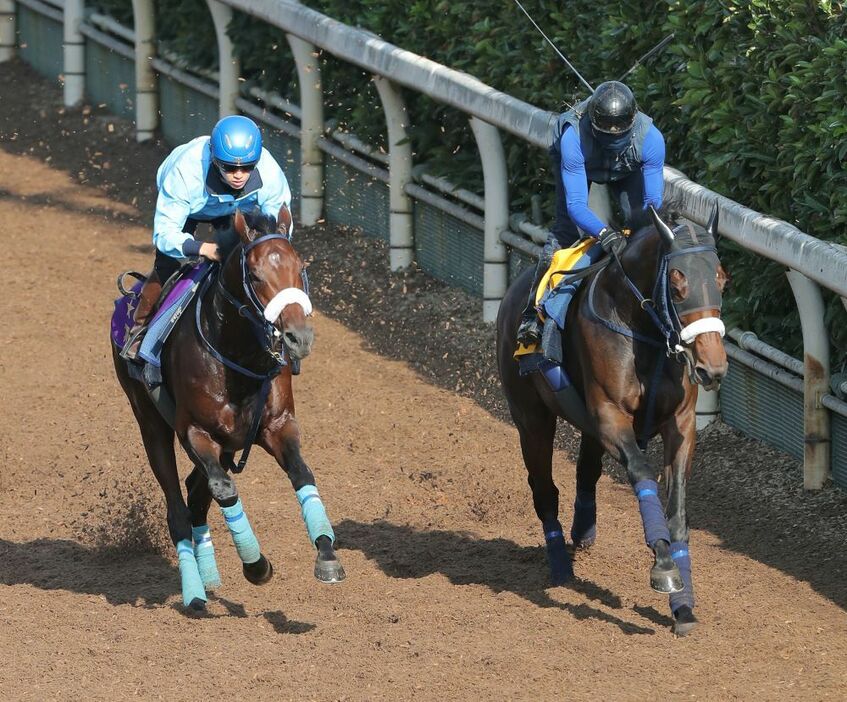 久々も苦にしないブローザホーン（左）