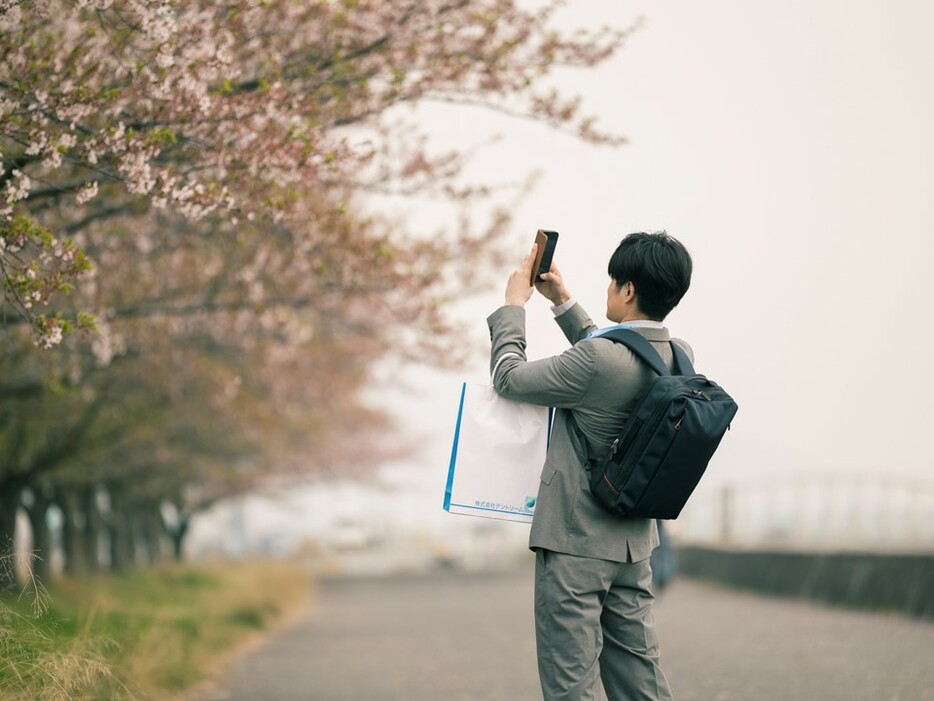 桜堤防