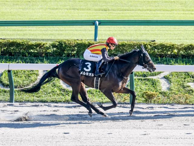 川田将雅騎手騎乗のメルキオルが勝利(撮影：下野雄規)