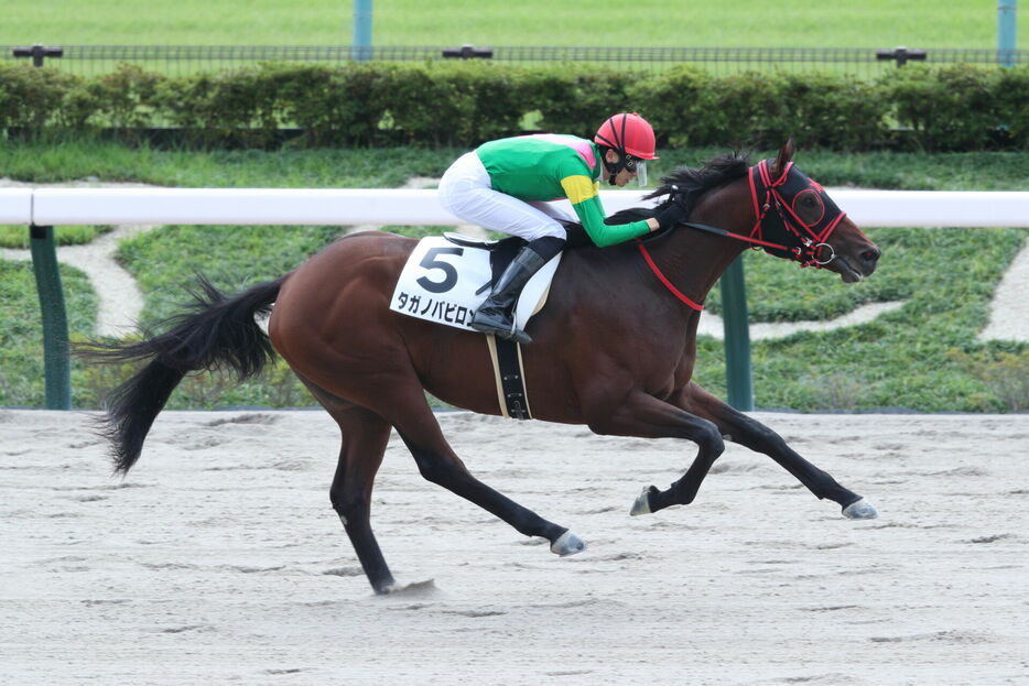 東京4R・タガノバビロンと坂井瑠星騎手