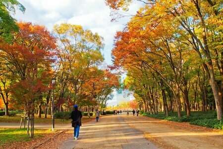 Yingna Cai/shutterstock.com