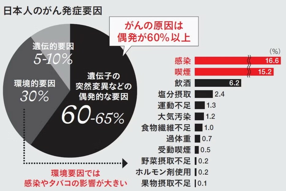 喫煙と飲酒は影響が大きい。感染症にかかりやすく空気汚染が進みがちな都市部は、ひとつの要因となる可能性が高い。