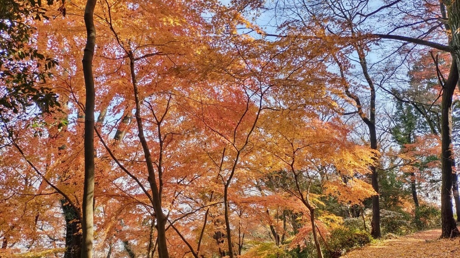 群馬・金山