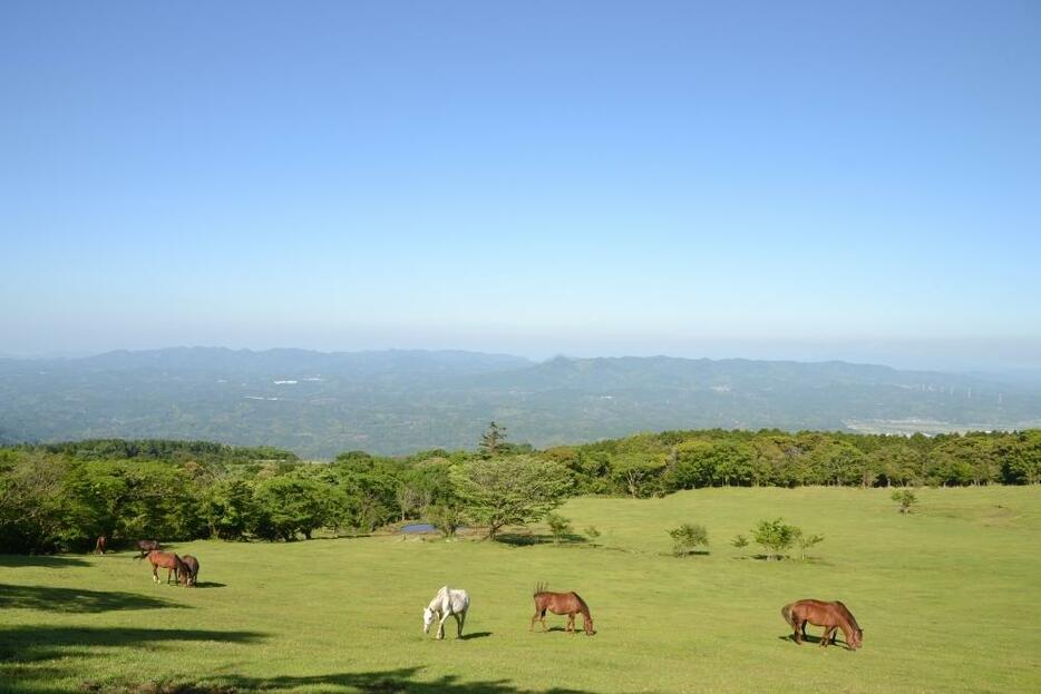 雄大な風景が広がる放牧地〈ホーストラスト提供）