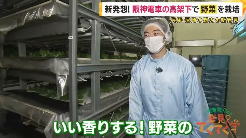 阪神電車の高架下に野菜工場