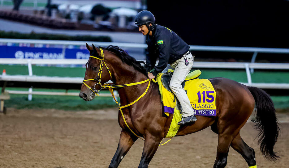 ウシュバテソーロ（C）Tim Sudduth／Eclipse Sportswire／Breeders Cup