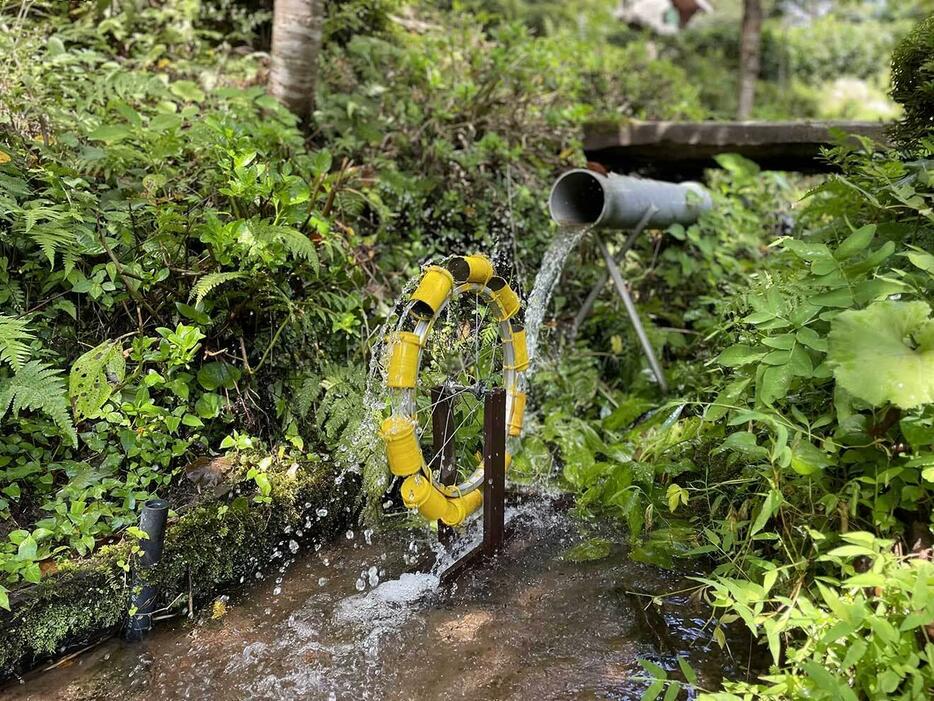 わき水が流れる水路